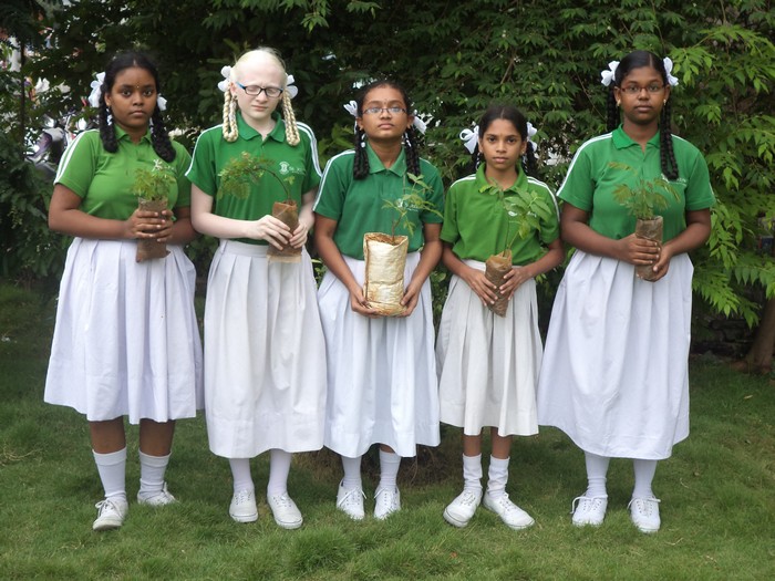 St John s Public School